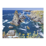 Vizek, képes falinaptár 2026