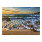 Vizek, képes falinaptár 2026