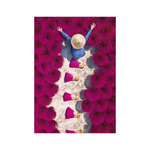 World From Above, képes falinaptár 2026