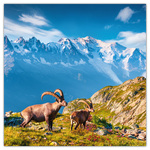 Alps, képes lemeznaptár 2026