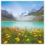 Alps, képes lemeznaptár 2026