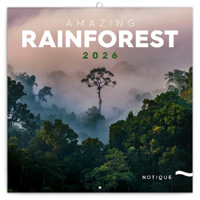 Amazing Rainforest, képes lemeznaptár 2026