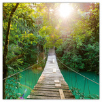 Amazing Rainforest, képes lemeznaptár 2026