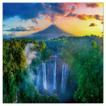 Amazing Rainforest, képes lemeznaptár 2026