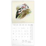 Birds in Art, képes lemeznaptár 2026
