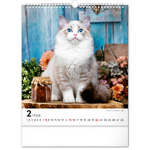 Cats, képes falinaptár 2026