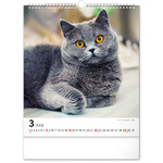 Cats, képes falinaptár 2026