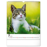 Cats, képes falinaptár 2026