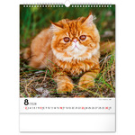 Cats, képes falinaptár 2026
