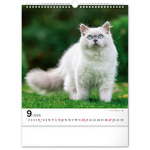 Cats, képes falinaptár 2026