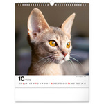 Cats, képes falinaptár 2026
