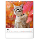 Cats, képes falinaptár 2026