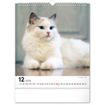 Cats, képes falinaptár 2026