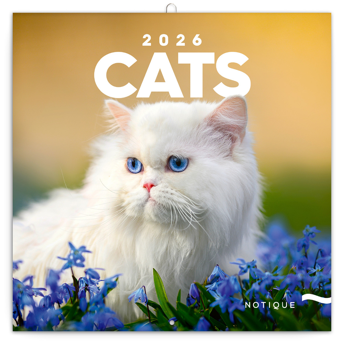 Cats, képes lemeznaptár 2026 Cats, képes lemeznaptár 2026