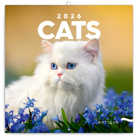 Cats, képes lemeznaptár 2026