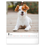 Dogs, képes falinaptár 2026