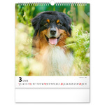 Dogs, képes falinaptár 2026