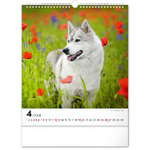 Dogs, képes falinaptár 2026