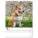 Dogs, képes falinaptár 2026