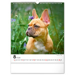 Dogs, képes falinaptár 2026