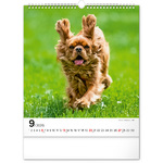 Dogs, képes falinaptár 2026