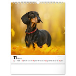 Dogs, képes falinaptár 2026