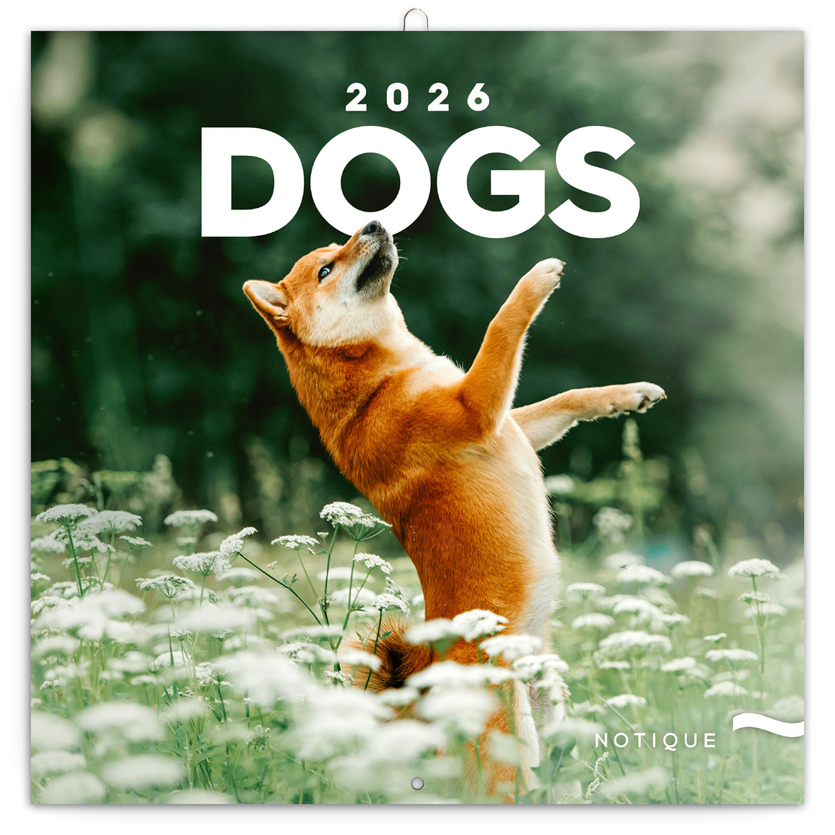 Dogs, képes lemeznaptár 2026 Dogs, képes lemeznaptár 2026