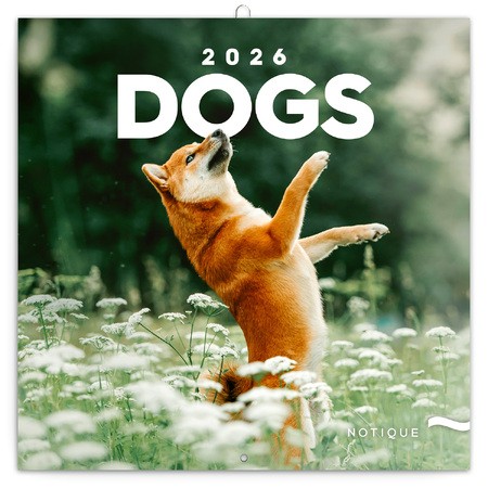 Dogs, képes lemeznaptár 2026