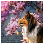 Dogs, képes lemeznaptár 2026 Dogs, képes lemeznaptár 2026