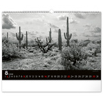 Dreamscapes, képes falinaptár 2026