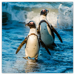 Endangered Animals, képes lemeznaptár 2026