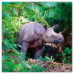 Endangered Animals, képes lemeznaptár 2026