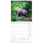 Endangered Animals, képes lemeznaptár 2026