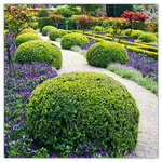 Gardens, képes lemeznaptár 2026