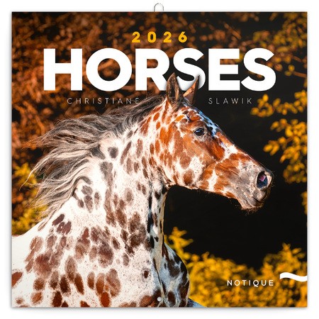 Horses - Christiane Slawik, képes lemeznaptár 2026