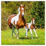 Horses - Christiane Slawik, képes lemeznaptár 2026