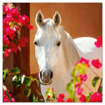 Horses - Christiane Slawik, képes lemeznaptár 2026