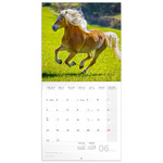 Horses - Christiane Slawik, képes lemeznaptár 2026