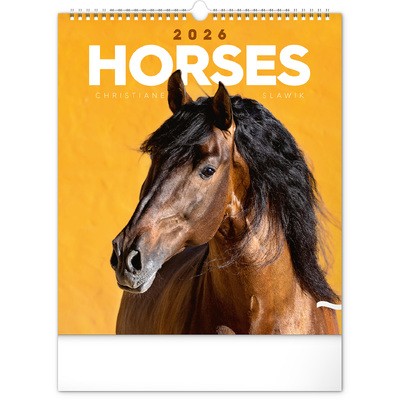 Horses, képes falinaptár 2026