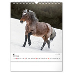 Horses, képes falinaptár 2026