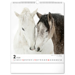 Horses, képes falinaptár 2026