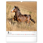 Horses, képes falinaptár 2026