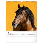 Horses, képes falinaptár 2026