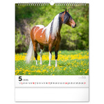 Horses, képes falinaptár 2026
