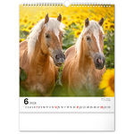 Horses, képes falinaptár 2026
