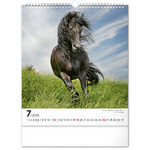 Horses, képes falinaptár 2026