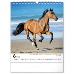 Horses, képes falinaptár 2026