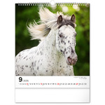 Horses, képes falinaptár 2026