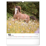 Horses, képes falinaptár 2026