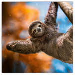 Keep Smiling, képes lemeznaptár 2026